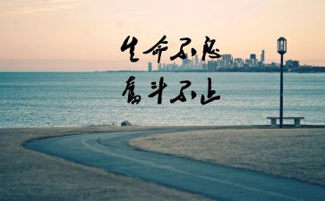 我懂了爱作文优秀8篇