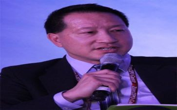 公司董事工作报告8篇