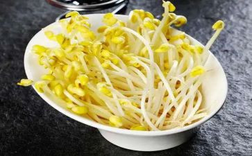 红豆芽观察作文5篇