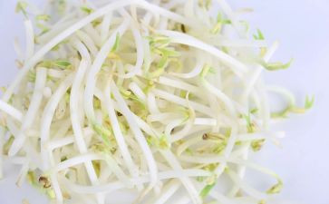 长豆芽作文精选5篇