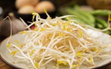 长豆芽作文8篇