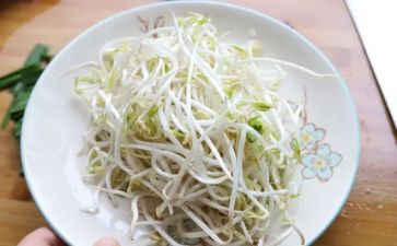 种豆芽的作文推荐6篇