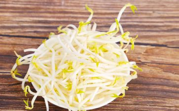 长豆芽作文模板6篇