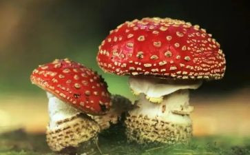 禁毒心得体会最新7篇