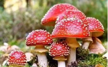 禁毒心得体会800字8篇
