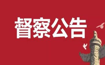 督查工作年度总结7篇