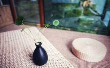 我读懂雨作文优秀6篇