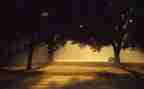 我读懂雨作文精选6篇