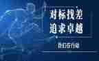 教师个人对标工作总结推荐7篇