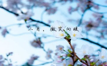 幼儿园大班十二月份月计划8篇