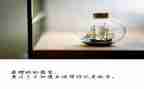 绽放我青春作文6篇
