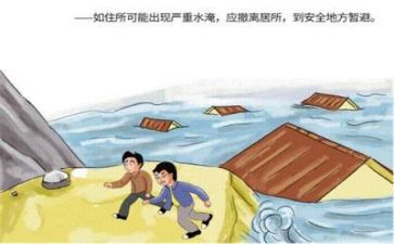 防汛救灾工作心得体会6篇
