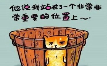 我会做教案反思8篇