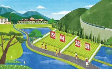 教师的专业发展报告总结7篇