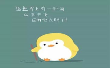 实验肥申请书7篇