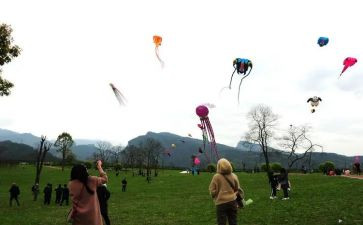 蓝风筝的观后感6篇