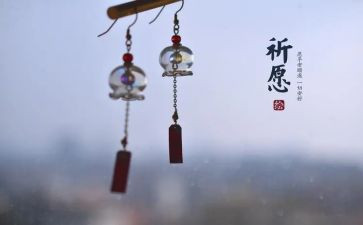 风铃草的作文优质5篇