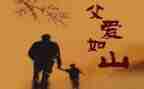 感恩父亲作文6篇