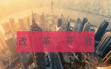 改革年心得体会优质7篇