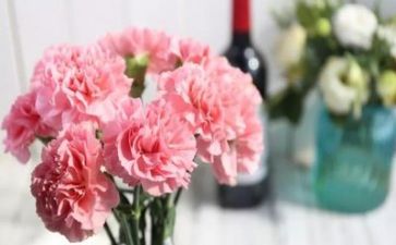 会感恩心得体会优质5篇