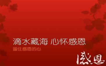 感恩2024年演讲稿推荐8篇