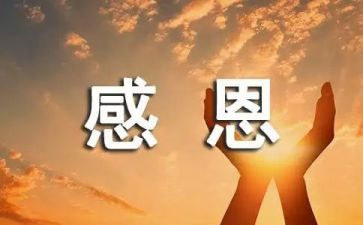 感恩活动教师总结6篇