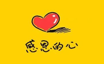 我感恩我的老师作文6篇