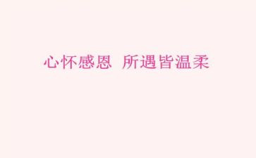 对感恩的心得体会300字8篇