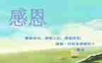 感恩的演讲稿优质5篇