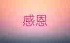 令我感激的记忆作文7篇