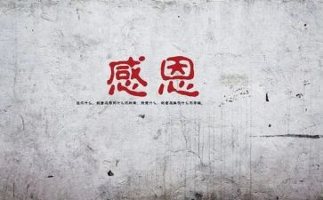 感谢母校的作文最新8篇