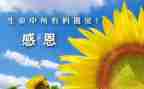我感谢母亲的作文400字8篇