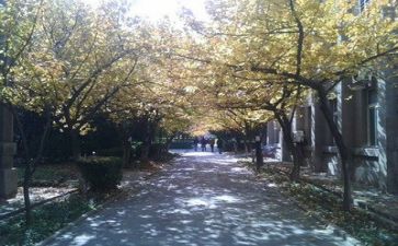 高校教师年度总结模板6篇