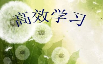 高效工作心得体会5篇