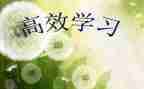 高效工作心得体会5篇