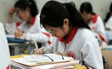 高一政治组上学期工作总结6篇