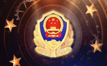 公安工作总结8篇