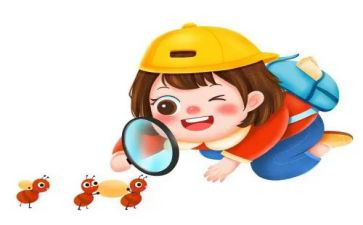 我观察乌龟的作文5篇