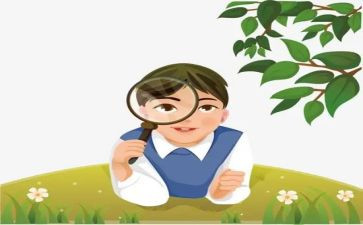 观察向日蔡的作文7篇