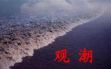 观潮教学教案及反思5篇