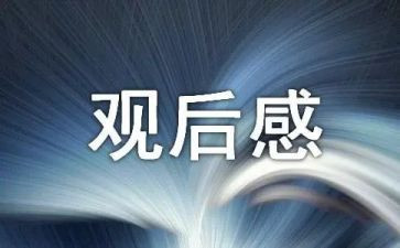 心得体会观后感800字6篇