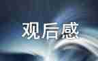 电影800字观后感参考6篇