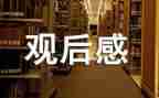 《楷模》观后感模板6篇