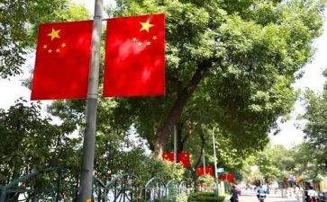 小学生爱国旗的演讲稿8篇