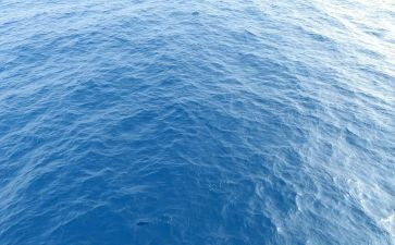 海训心得体会范文模板7篇