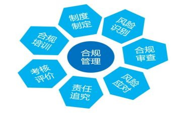 合规述职报告8篇