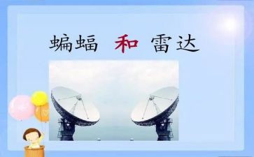有蝙蝠和雷达教学反思7篇