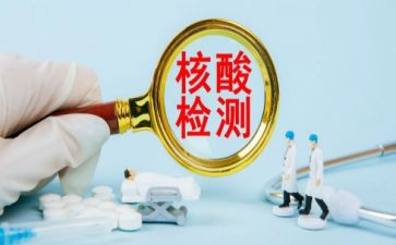 做核酸检测的作文8篇