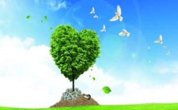 关于环保作文400字5篇