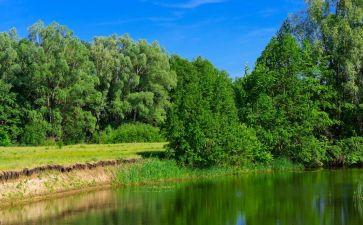 学校园环境调查报告范文8篇